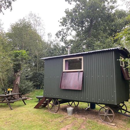 The Shepherd'S Hut - Wild Escapes Wrenbury Off Grid Glamping - Ages 12 And Over Baddiley Exterior photo