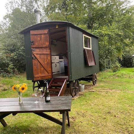 The Shepherd'S Hut - Wild Escapes Wrenbury Off Grid Glamping - Ages 12 And Over Baddiley Exterior photo