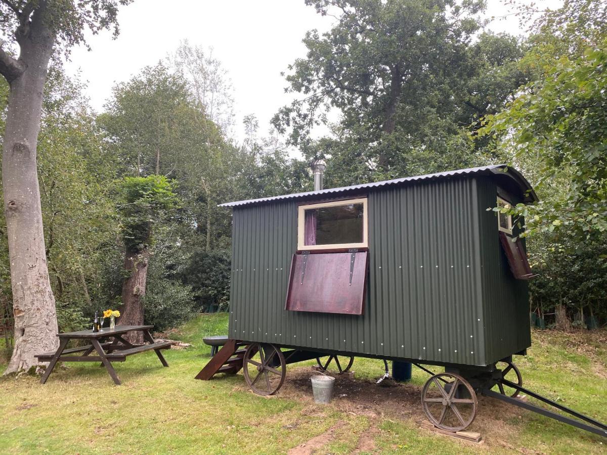 The Shepherd'S Hut - Wild Escapes Wrenbury Off Grid Glamping - Ages 12 And Over Baddiley Exterior photo