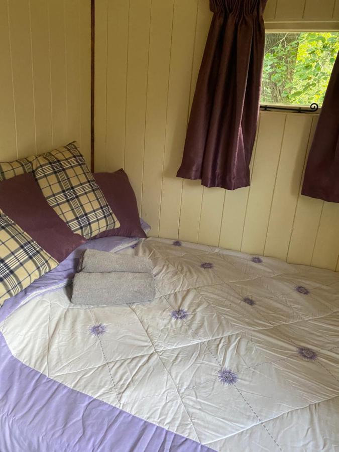 The Shepherd'S Hut - Wild Escapes Wrenbury Off Grid Glamping - Ages 12 And Over Baddiley Exterior photo